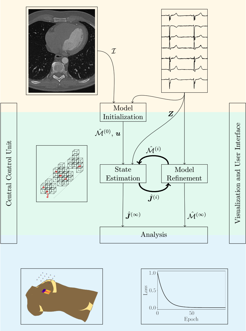 Thumbnail for A Concept for Myocardial Current Density Estimation with Magnetoelectric Sensors